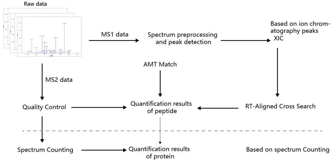 Figure 4. Basic Strategies for Label-Free Quantification